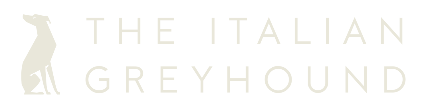 Home 17 The Italian Greyhound Logo